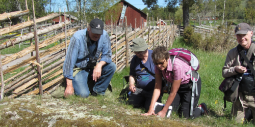 Floraväktarna - Banner