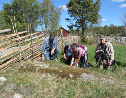 Fast links V3 Floraväktarna - Engagerasidan