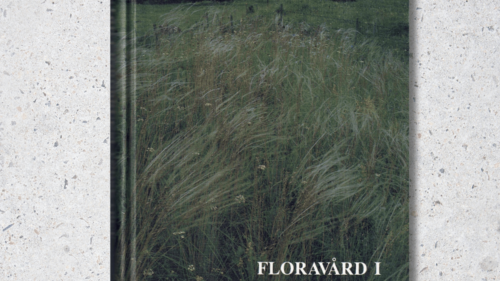 Half image - Floravård Jordbrukslandskapet