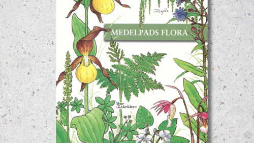 Half image - Medelpad