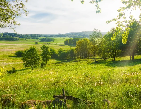 half-image-peter-vahlersvik-istock-