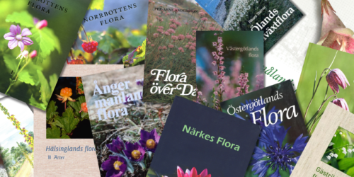 Image banner - Botanikportalen-2
