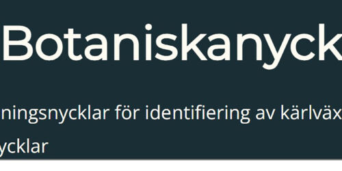 Botaniskanycklar-2000x667