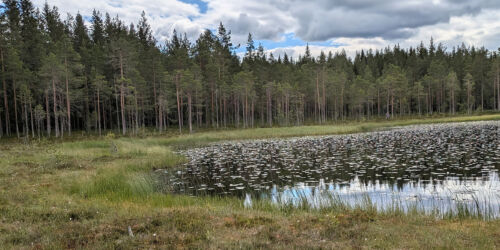 Inventeringsläger-Dalarna-Urban-Gunnarsson-2000x667