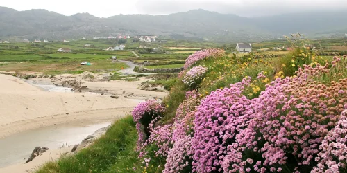 Irland-Peter-Ståhl-2000x667