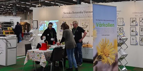 Trädgårdsmässan-2-Maria-van-der-Wie-2000x667